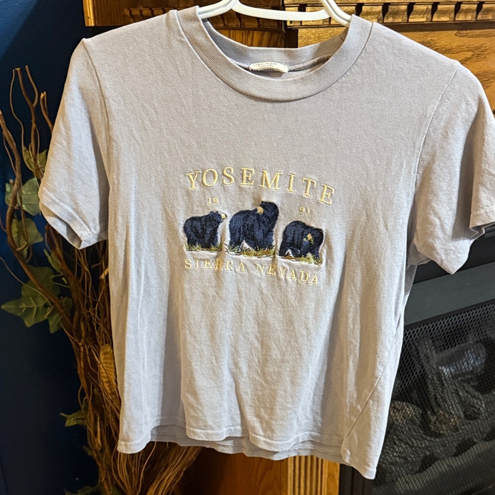 Brandy Melville Gray Yosemite Crop Top